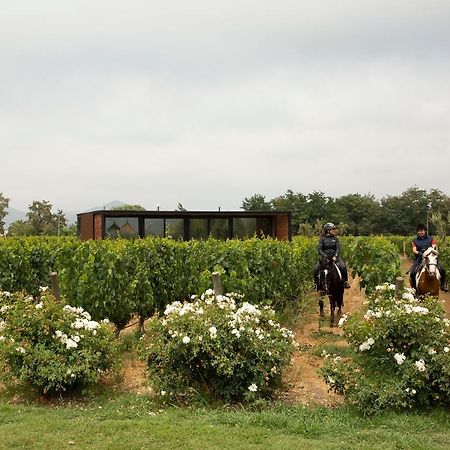Vibo Wine Lodge At Viu Manent Santa Cruz Exterior foto